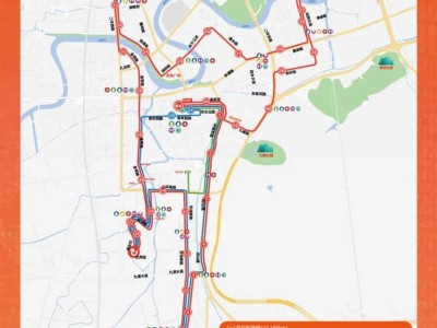 2024臺州馬拉松期間部分公交線路調(diào)整及停運