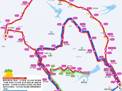 2026徐聞馬拉松比賽線路圖