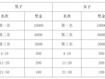 2024濟寧太白湖半程馬拉松獎金多少？