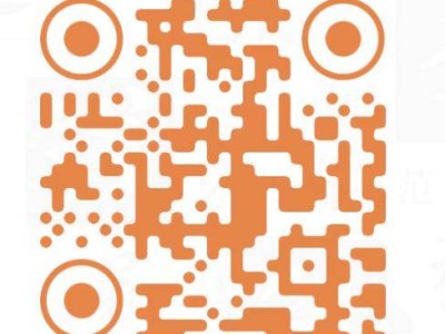 2025鄭州馬拉松跑者照片下載