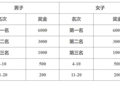 2025汶上半程馬拉松獎金標(biāo)準(zhǔn)