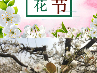 HELLO2025北京梨花春跑節(jié)(賽事規(guī)程)