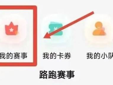 2026蕪湖馬拉松參賽號查詢方式