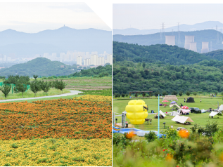 2024第二屆夢想祈福跑(賽事規(guī)程)