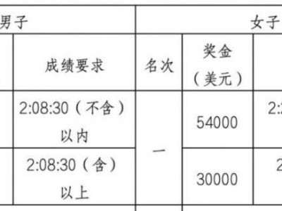 2024深圳馬拉松冠軍獎(jiǎng)金是多少錢
