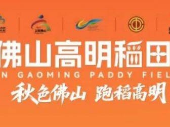 2025高明稻田馬拉松什么時(shí)候開(kāi)始報(bào)名？