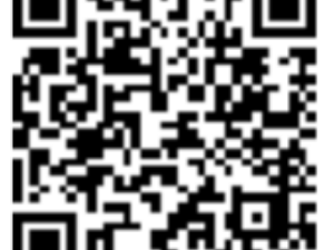 關(guān)于2025南寧女子半程馬拉松延期舉辦的公告