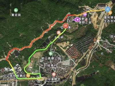 2026中山第三屆家庭迷你馬拉松線路參考