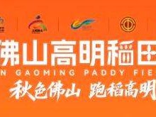 2025高明稻田馬拉松報名費多少錢？