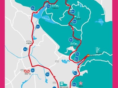 2025南京溧水半程馬拉松交通管制公告