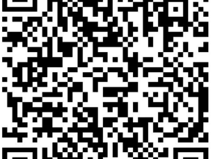 2025北京城市副中心馬拉松號碼牌怎么查？