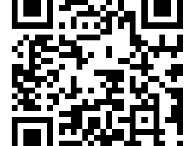 2025上海馬拉松(賽事規(guī)程)