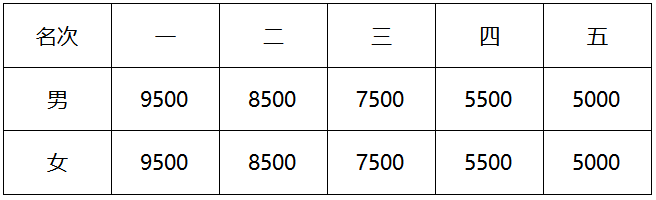 2024泰安馬拉松(賽事規(guī)程)(5) 2024泰安馬拉松(賽事規(guī)程)(5)