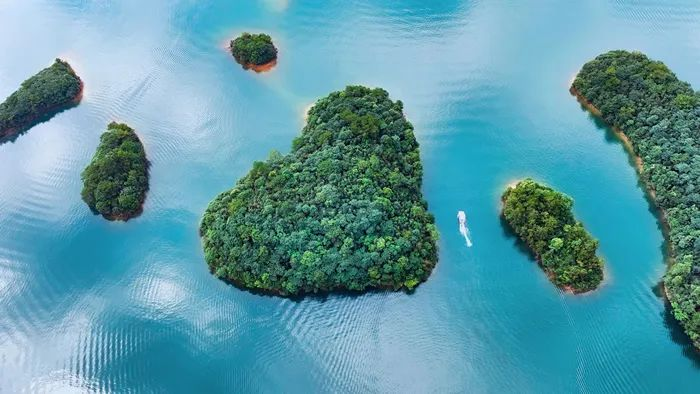 第三屆“愛在西海 幸福520”愛情跑(賽事規(guī)程)