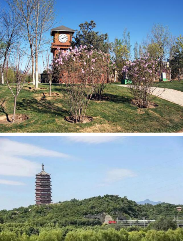 全民健康跑系列活動(dòng)-2024京西賞花長跑節(jié)(賽事規(guī)程)（8）