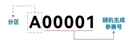 2024六安馬拉松參賽號(hào)怎么查詢（附入口）（2）