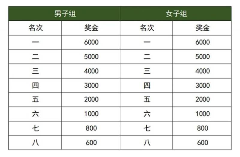 2025湛江徐聞馬拉松比賽獎勵多少錢