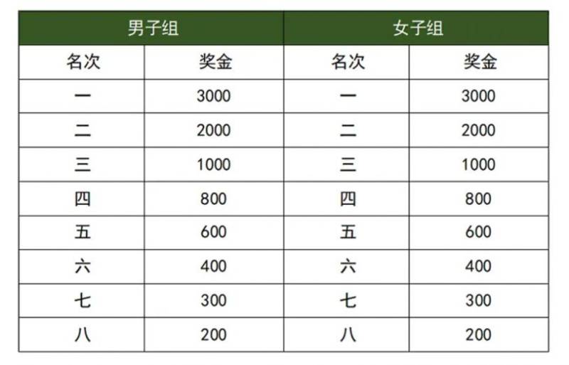 2025湛江徐聞馬拉松比賽獎勵多少錢（2）