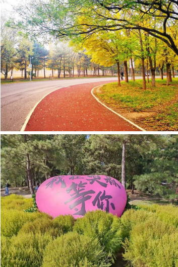 銳進(jìn)四季-2025奧森元旦迎新跑(賽事規(guī)程)（9）