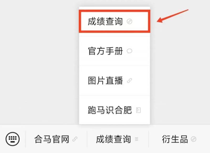 合肥馬拉松成績查詢官方網(wǎng)站2024