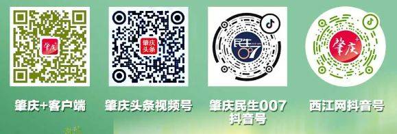 2024年肇慶馬拉松比賽直播觀看入口(電視端+手機(jī)端) 2024年肇慶馬拉松比賽直播觀看入口(電視端+手機(jī)端)