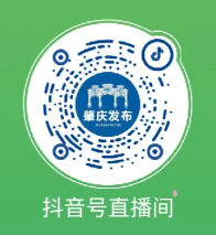 2024年肇慶馬拉松比賽直播時間+直播觀看入口（2）