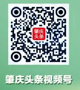 2024年肇慶馬拉松比賽直播入口+回放入口（4）