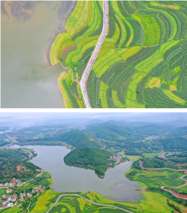 2025慶元旦健康田野跑(賽事規(guī)程)（4）