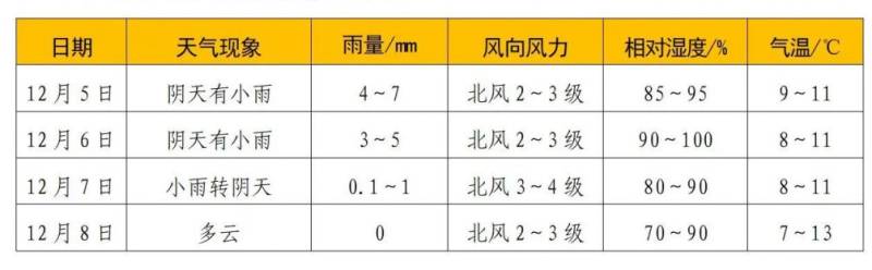 啟迪藥業(yè)2024衡陽馬拉松比賽那天天氣怎么樣？