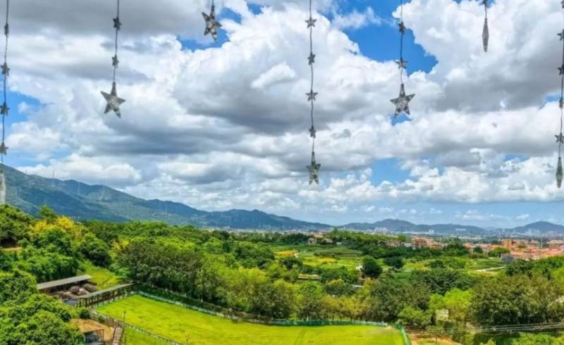 廈門馬拉松賽跑者旅游福利（免費+優(yōu)惠）（14）