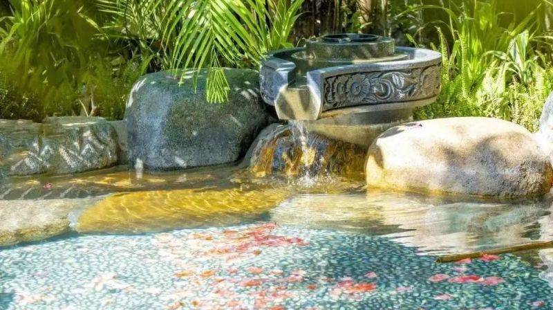 廈門馬拉松賽跑者旅游福利（免費+優(yōu)惠）（19）