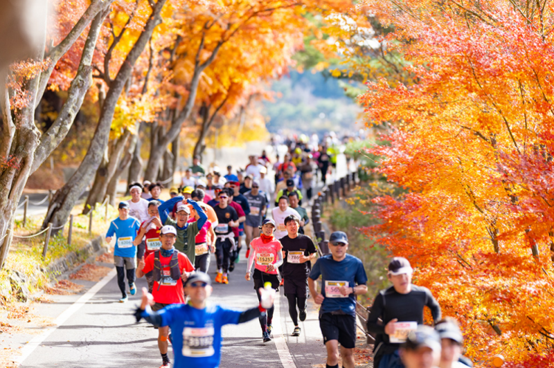 2025年日本富士山馬拉松(賽事規(guī)程)(3) 2025年日本富士山馬拉松(賽事規(guī)程)(3)