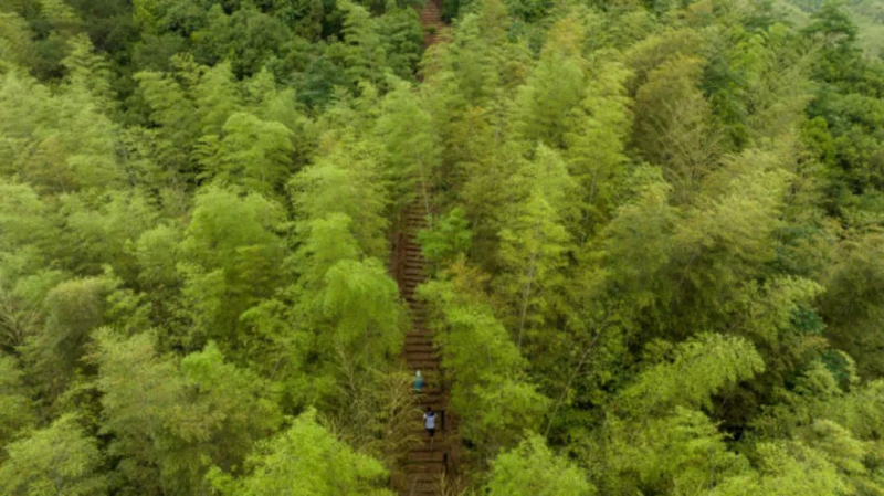 2025余杭新春跑山賽(賽事規(guī)程)(3) 2025余杭新春跑山賽(賽事規(guī)程)(3)