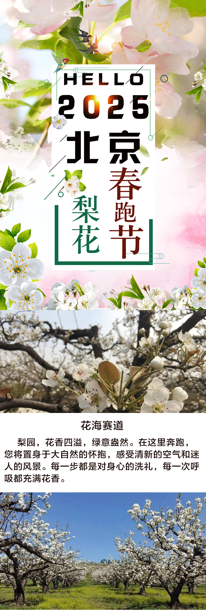 HELLO2025北京梨花春跑節(jié)(賽事規(guī)程)