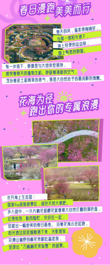 2025年春日美美跑(賽事規(guī)程)（4）