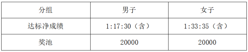 2025重慶大足龍水湖半程馬拉松(賽事規(guī)程)（6）