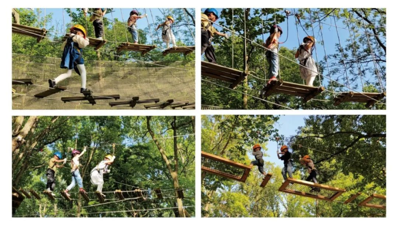 2025縱情山野春季探險賽(賽事規(guī)程)(16) 2025縱情山野春季探險賽(賽事規(guī)程)(16)