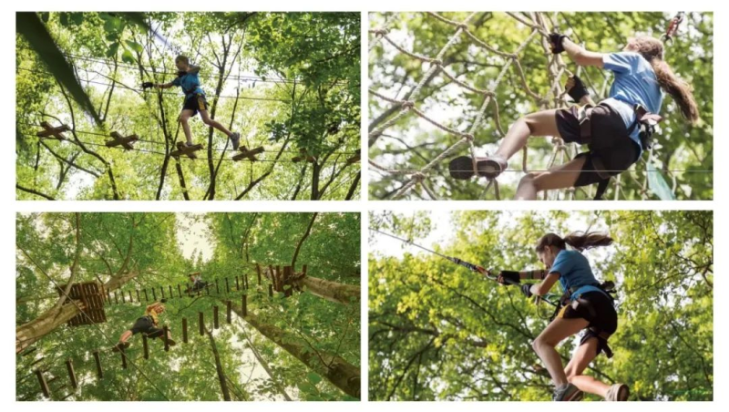 2025縱情山野春季探險賽(賽事規(guī)程)(18) 2025縱情山野春季探險賽(賽事規(guī)程)(18)