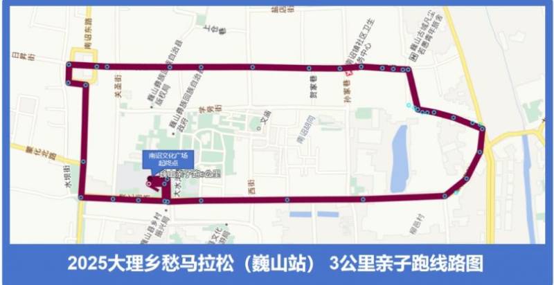 2025大理鄉(xiāng)愁馬拉松年度接力賽巍山站競賽規(guī)程（2）