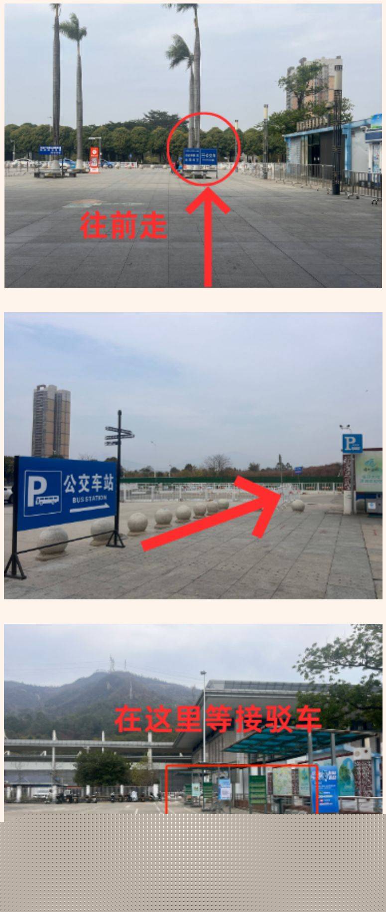 2025年清遠(yuǎn)馬拉松參賽物資在哪領(lǐng)??？（3）