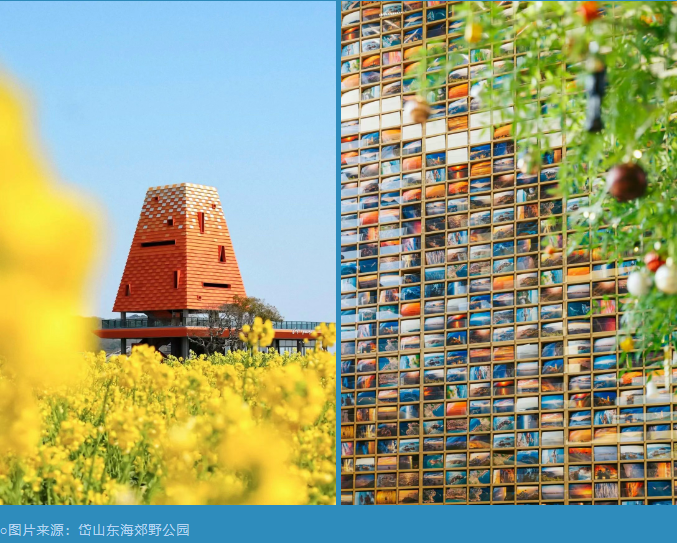 2025海島公園岱山島徒步大會(賽事規(guī)程)（9）