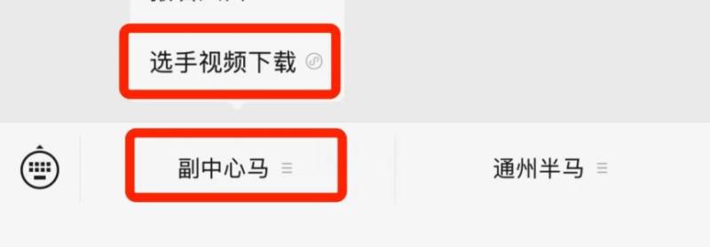 2025北京城市副中心馬拉松選手AI參賽視頻領(lǐng)取方式（3）