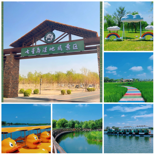 2025綠跑中國(guó)全民健康大賽（天津·寧河站）(賽事規(guī)程)（7）