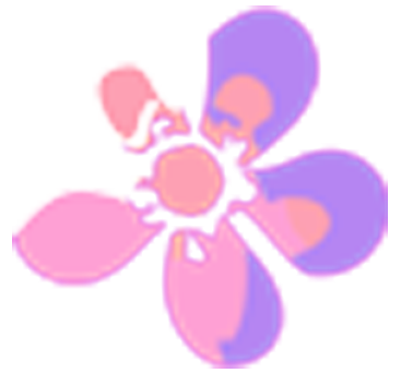 2025呼和浩特半程馬拉松開放參賽號碼查詢通道（10）
