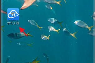 龍江人社APP認(rèn)證記錄信息在哪里查詢？