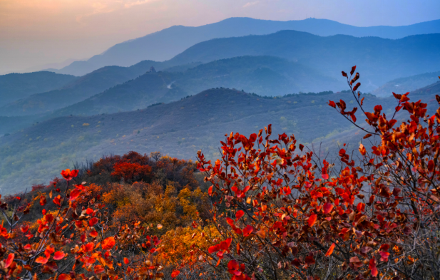 2026西山迎新徒步大會(賽事規(guī)程)（18）