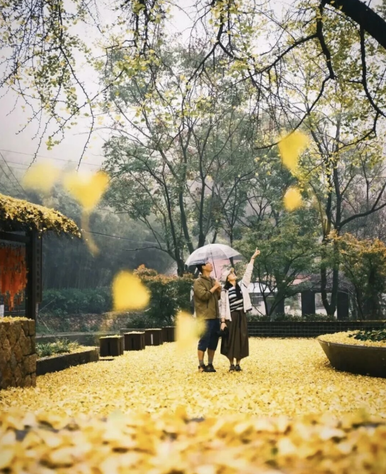 2025莫干庾街首屆趣味定向賽(賽事規(guī)程)（2）