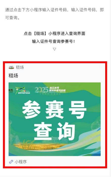 2025漳州半程馬拉松參賽號查詢步驟