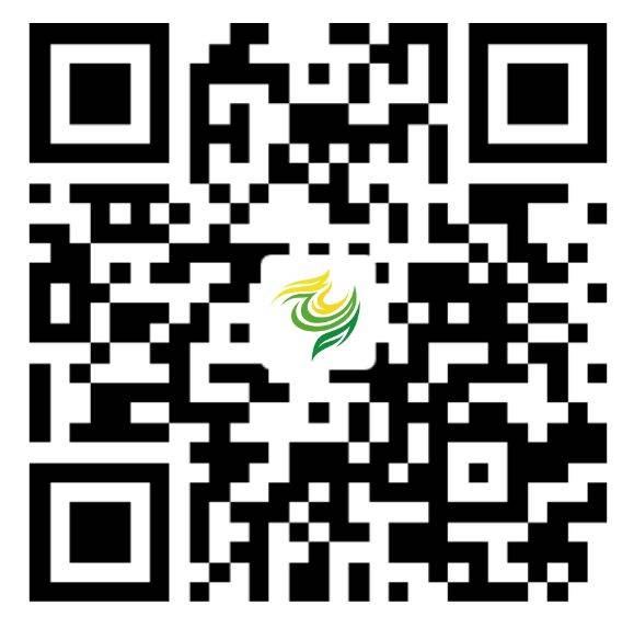 2025澄邁半程馬拉松領(lǐng)物須知（時間+地點+注意事項）（6）