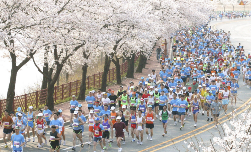 2026年慶州櫻花馬拉松(賽事規(guī)程)（3）